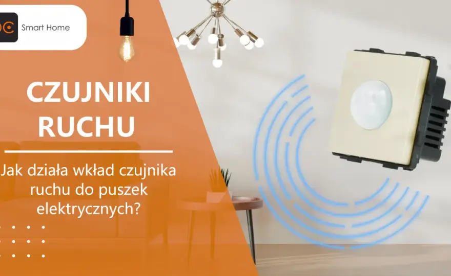 Czujnik ruchu - Jak wybrać, by działał, nie wariował?