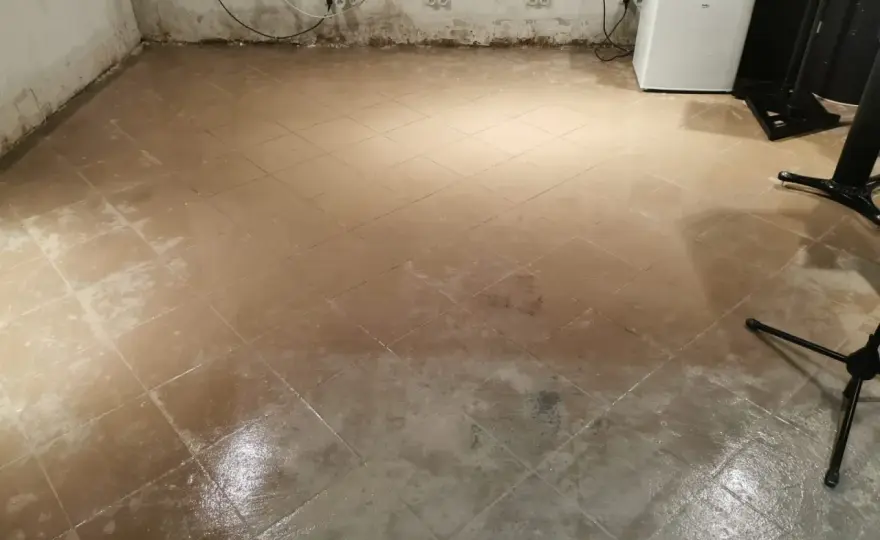 Ukryty wróg po zalaniu – jak walczyć z pleśnią w murach?