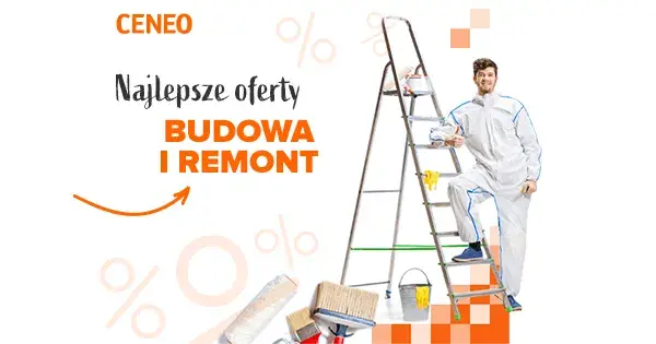 Jaki pistolet do malowania dachu wybrać, aby uniknąć problemów?